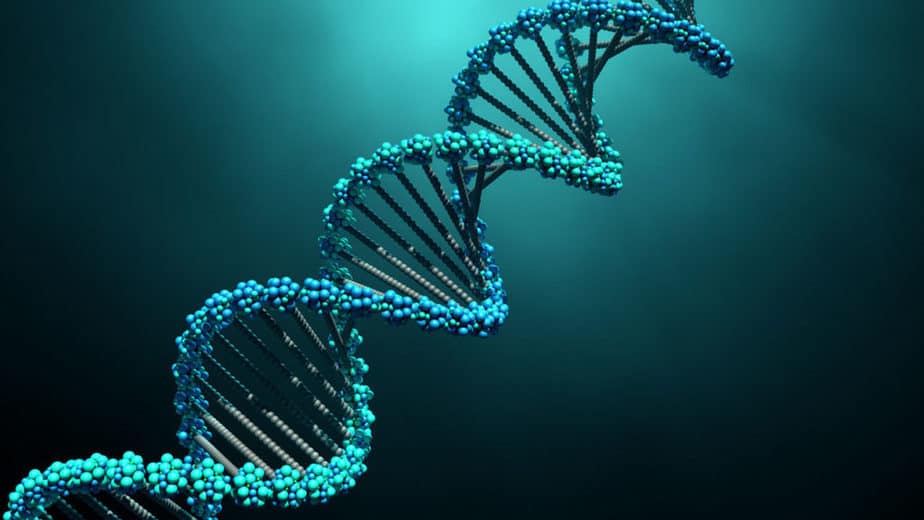 DNA_1280p-1024x576.jpg