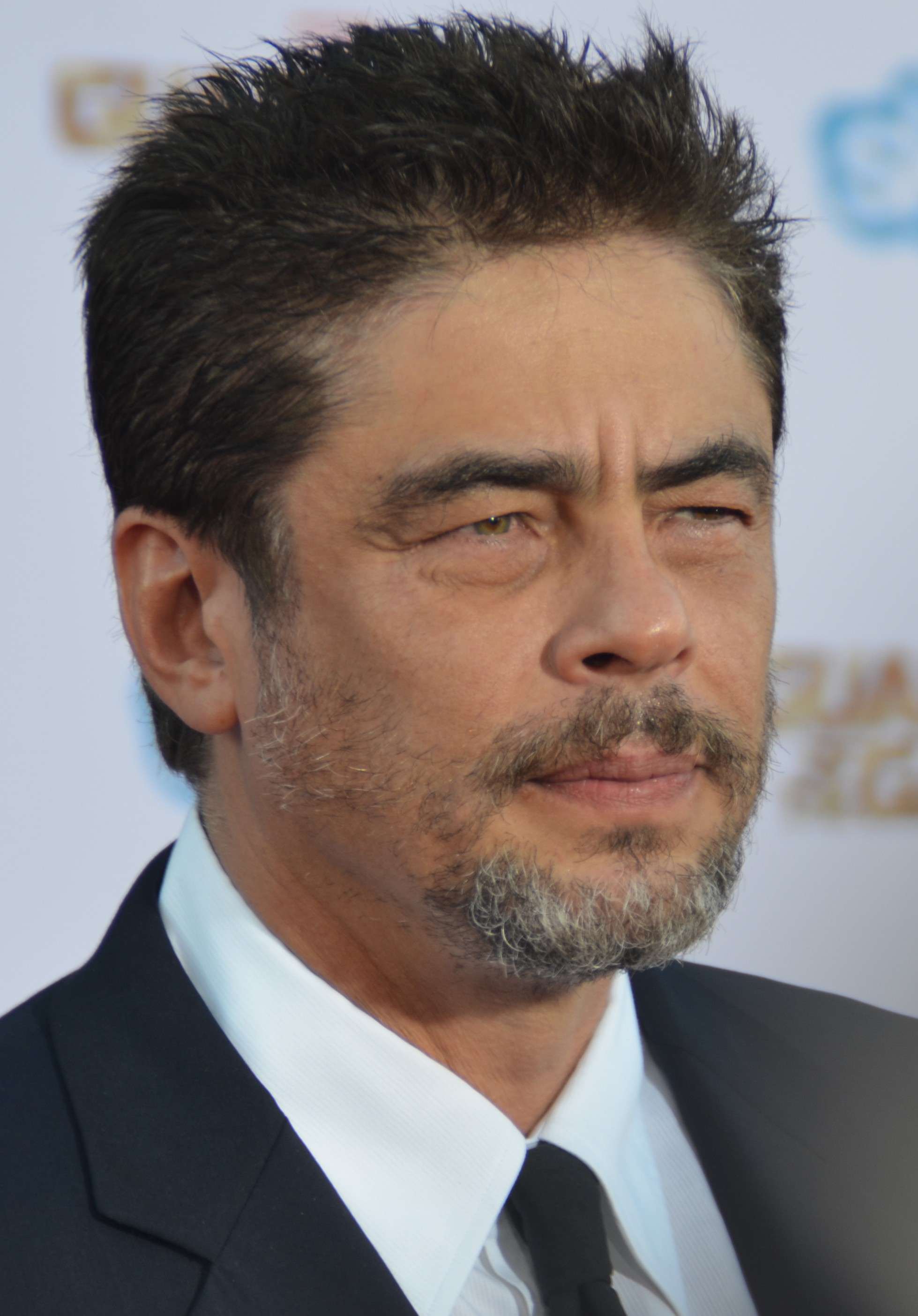 Benicio_Del_Toro_-_Guardians_of_the_Galaxy_premiere_-_July_2014_%28cropped%29.jpg