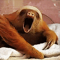 3182381_yawn.gif