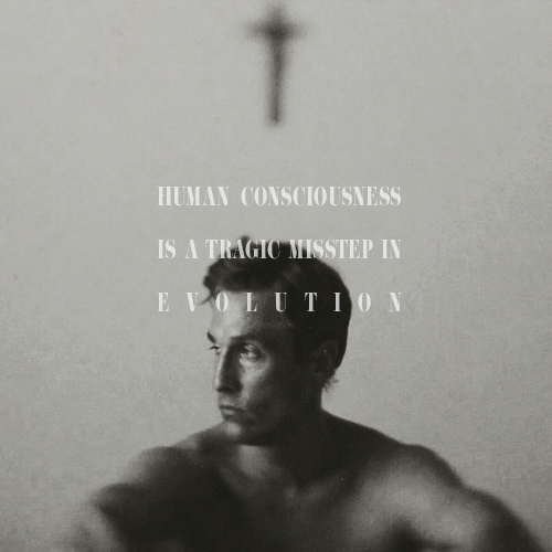 tumblr_n0ycx6Sc101qzr7ibo1_r1_500.png