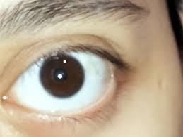 1749071817614
