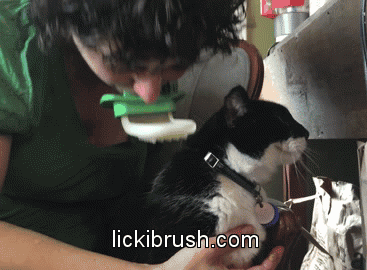licki-brush-green-gif.12337