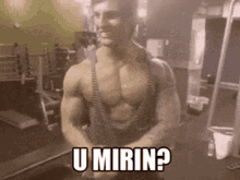 Mimrin GIFs | Tenor