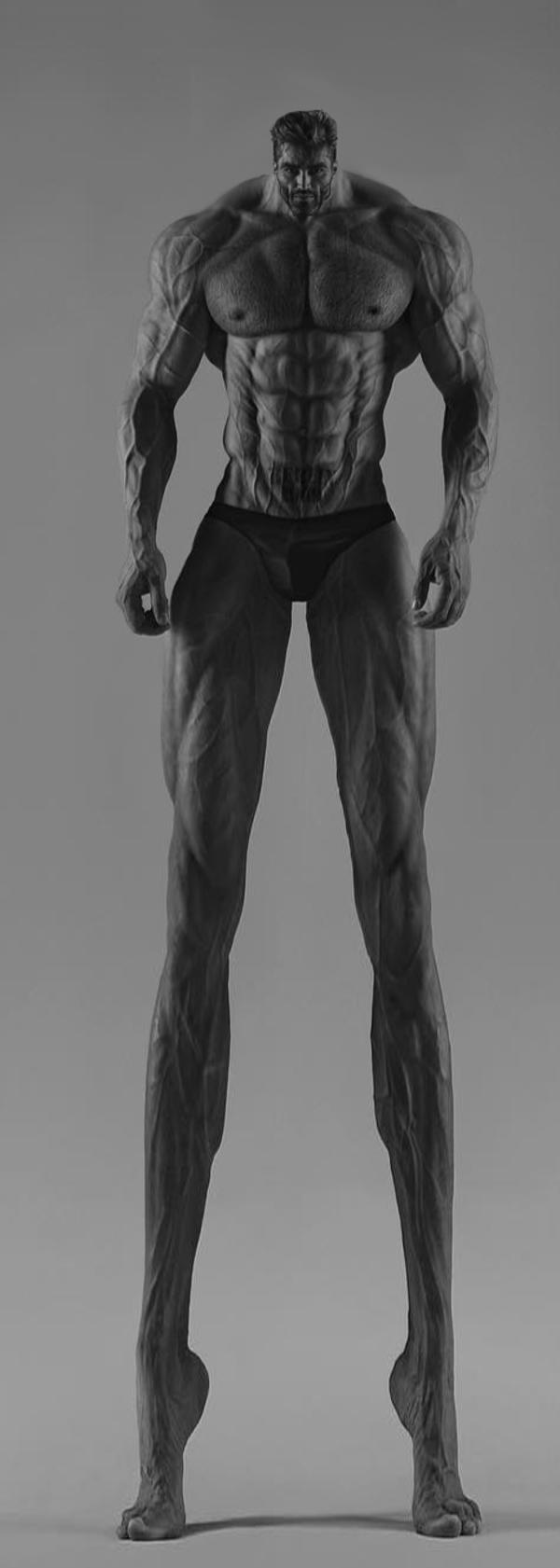 Long-legged Gigachad | GigaChad | Know Your Meme