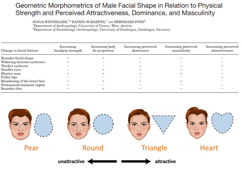 attractive-face-shape-features.jpg