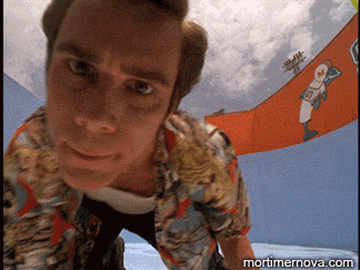 9de077087ca48ddf4957df0fc210d6b1.gif