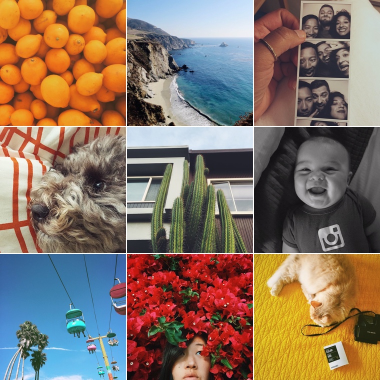 www.instagram.com