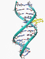 dna GIF