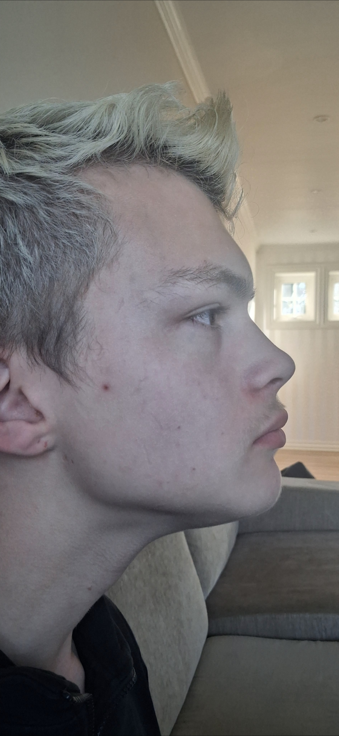 6791212_1295.jpg
