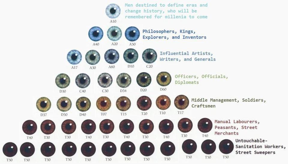 Thanks, I hate class system based on eye colour : r/TIHI