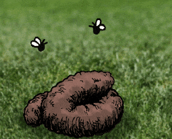 Dog Business GIF by lilcozynostril