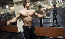 Jeff Seid GIFs | Tenor