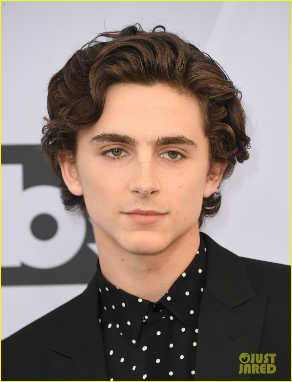 timothee-chalamet-sag-awards-2019-03.jpg