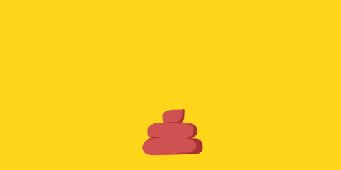 giphy.gif
