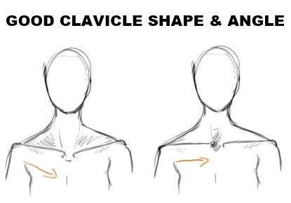 aesthetic-clavicle-shape-and-angle1.jpg