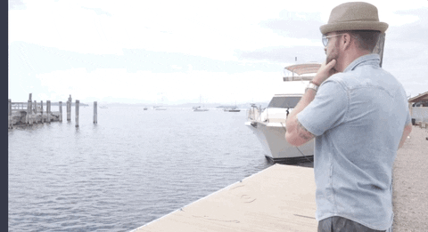 giphy.gif