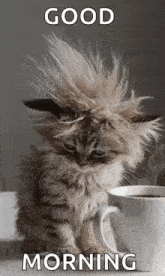 morning-morning-coffee.gif