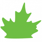 eco.ca