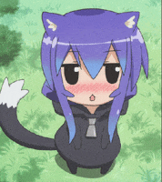 interested kitty GIF