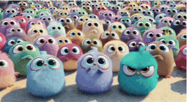 Mad The Angry Birds Movie GIF by Angry Birds