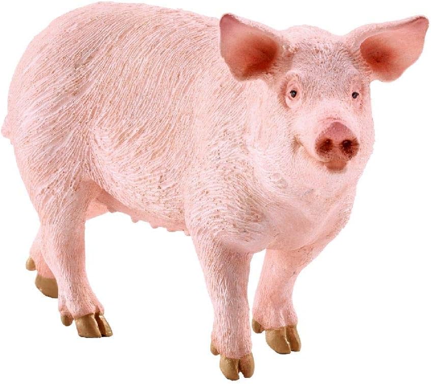 61WdixjupoL._AC_SL1024_.jpg