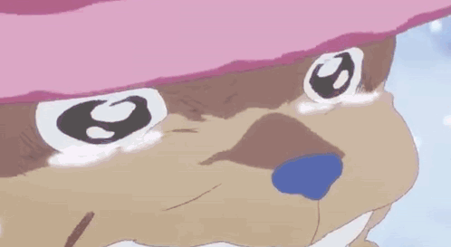 the-one-piece-is-real-one-piece-is-real.gif