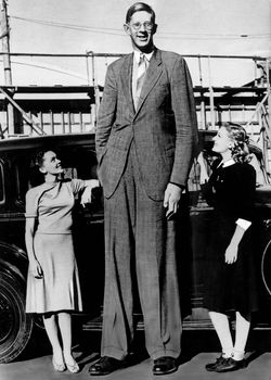 Image result for robert wadlow