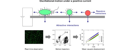 www.sciencedirect.com