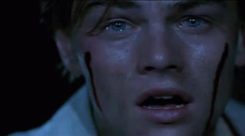 leo-dicaprio.gif