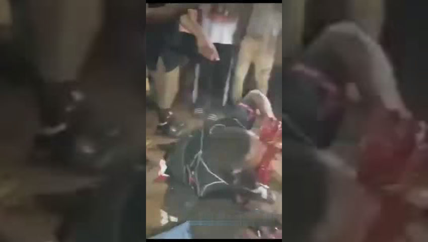 bestgore.fun