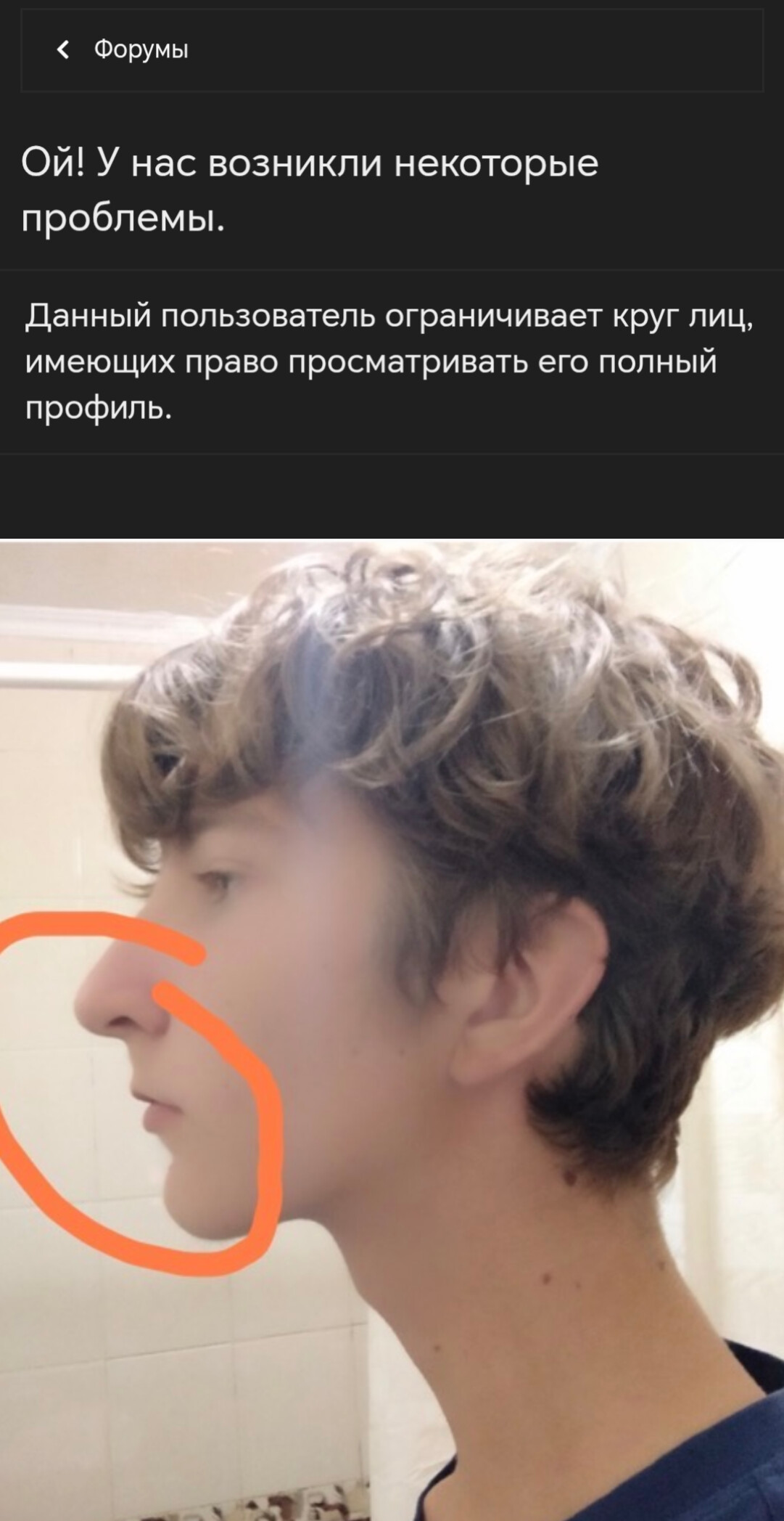 6812540_17336.jpg