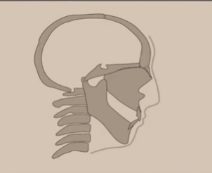 rrSC1Yl.gif