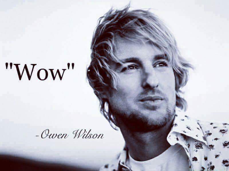 Wow - Owen Wilson [800x598] : r/QuotesPorn