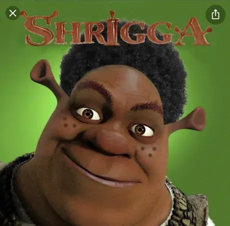 5013308 4841288 IMG 2730 1