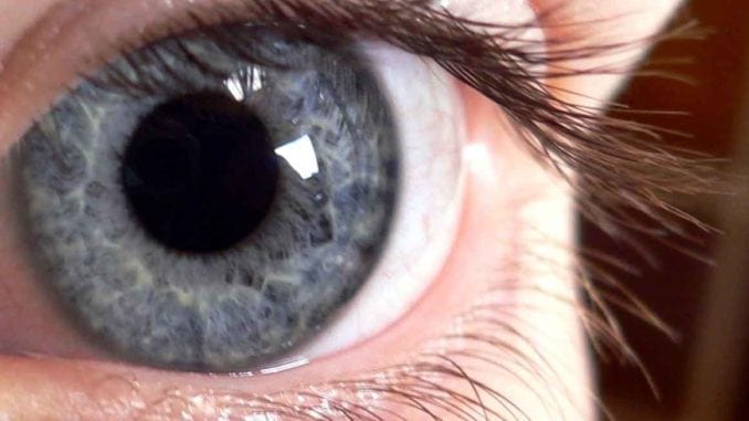 grey-eyes.jpg