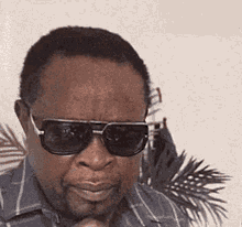 Surprised Sunglasses GIF - Surprised Sunglasses Shocked - Discover & Share  GIFs