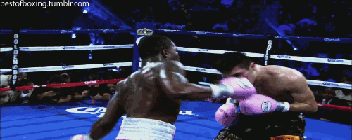 NgP4.gif