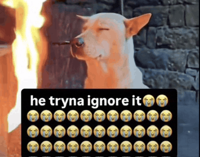 a dog sitting in front of a fire with the words he tryna ignore it on the bottom