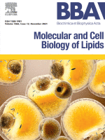 www.sciencedirect.com
