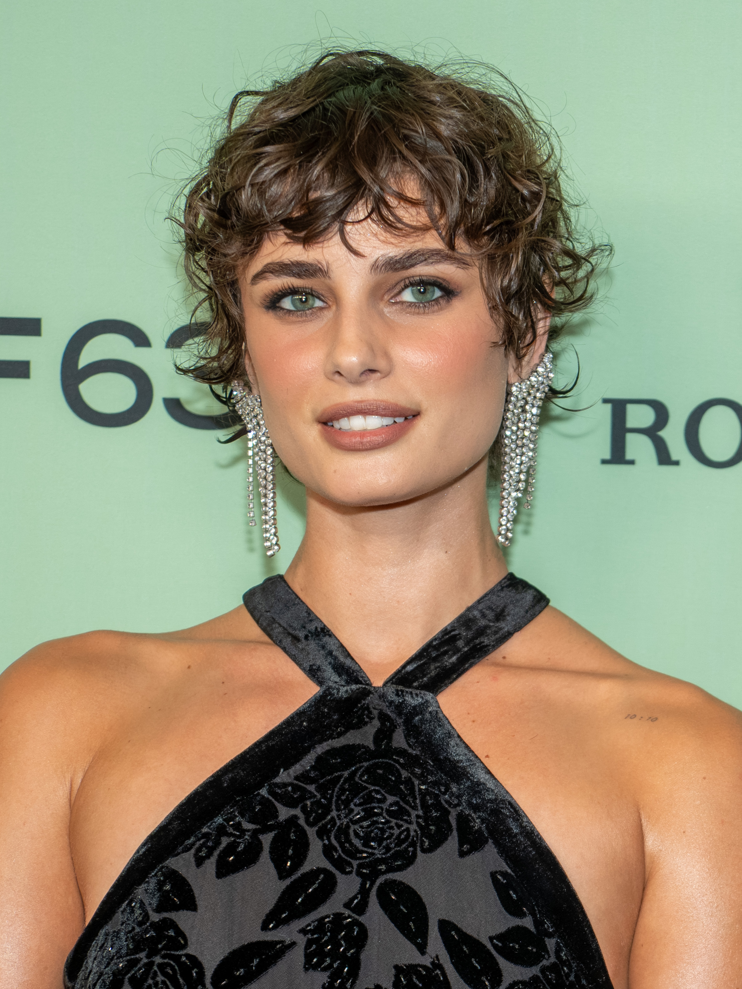 Taylor_Hill_Springsteen-56_%28cropped%29.jpg