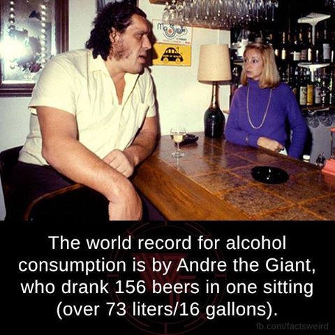 Normalkneipe Twitterissä: The #WorldRecord for #alcohol is by Andre the  Giant :) #Bier #beer #Normalkneipe #Frankfurt_am_Main… 
