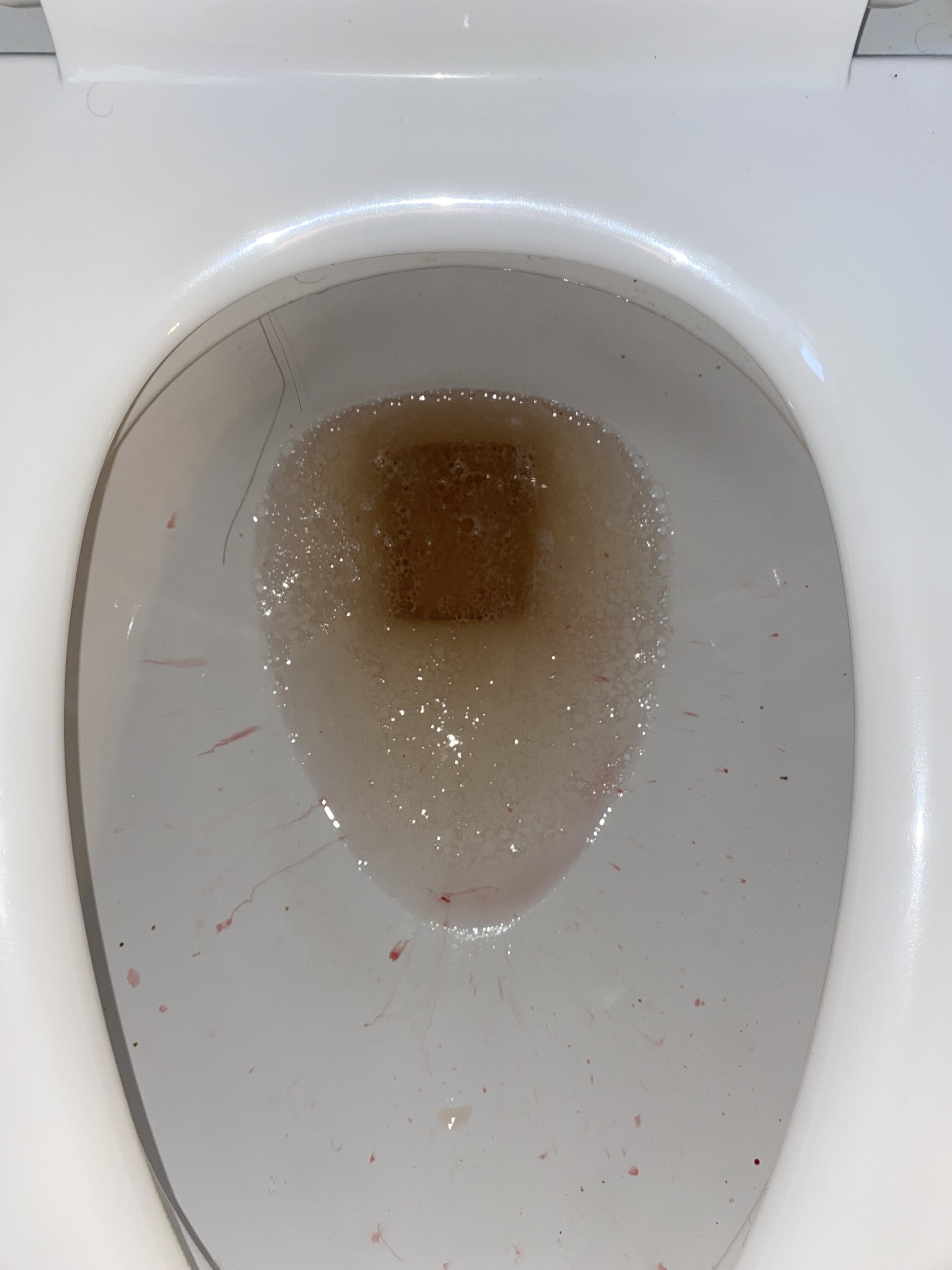 4614563_IMG_6855.jpeg