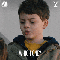 Choose Paramount Network GIF by Yellowstone