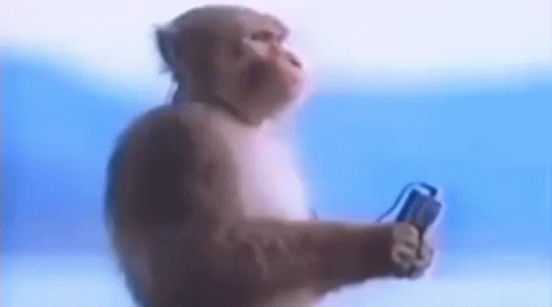 c21de43465e25cafa4bab80fa7311b19.gif