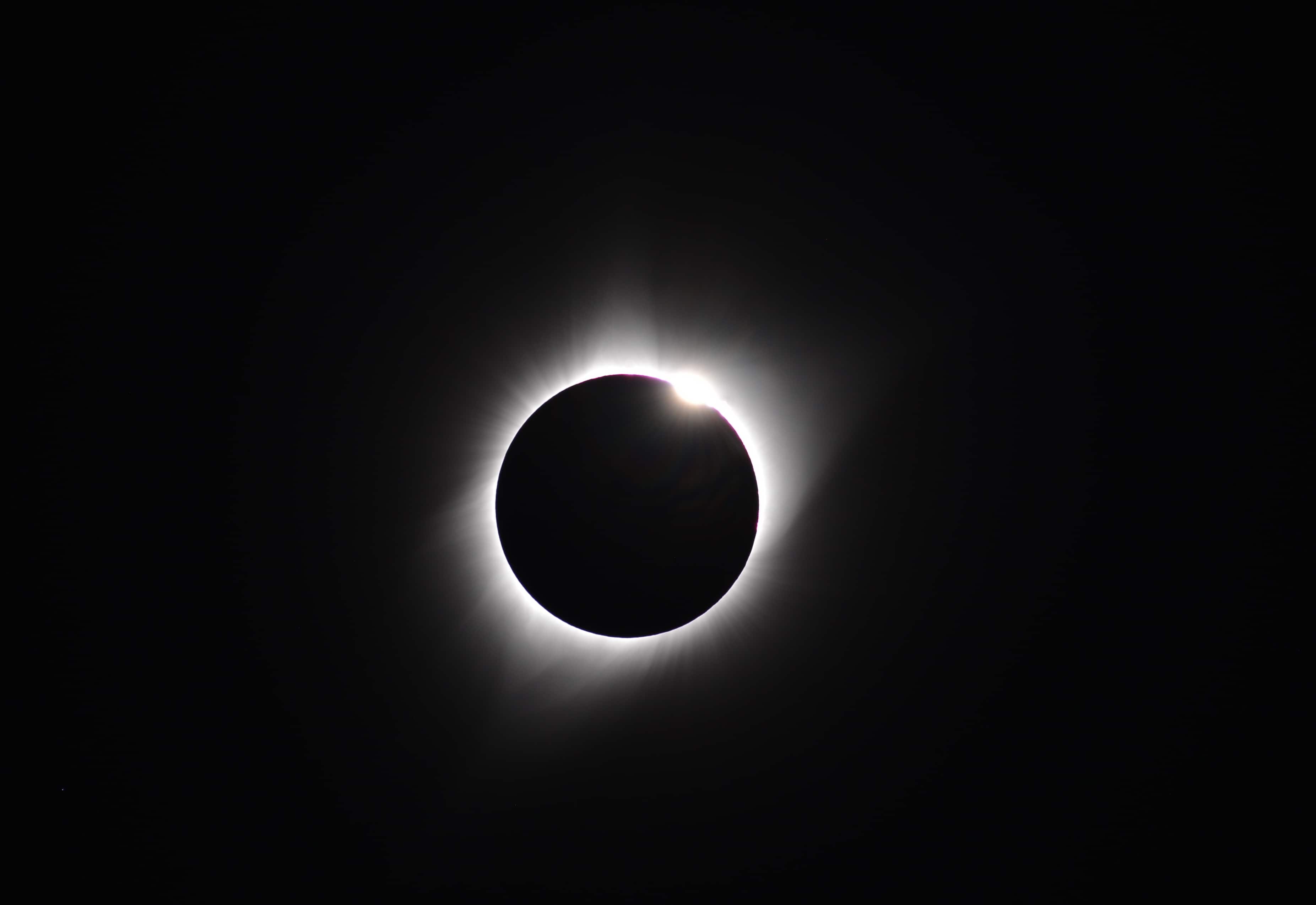 Tami-eclipse3.jpg