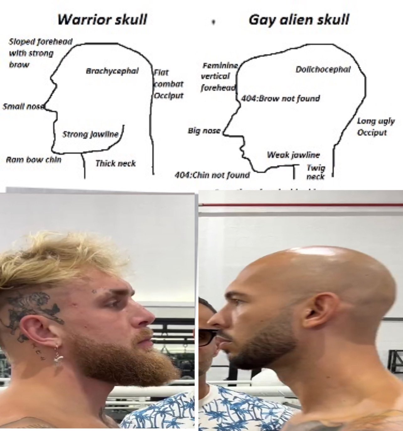 FhNRzYnXoAMO9V0.jpg:large