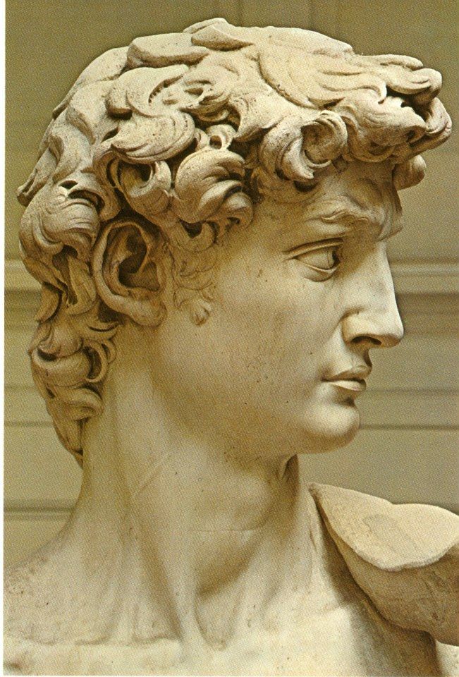 Michelangelo's David | Roman sculpture, Renaissance art, Anatomy art