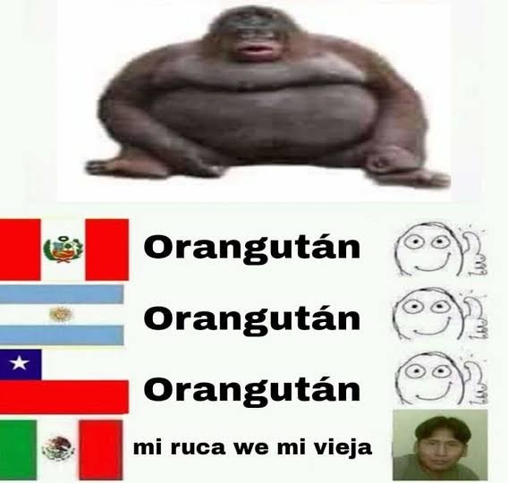 64dd86fb26111.jpeg