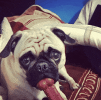 Wait What Question GIF by Luis Ricardo