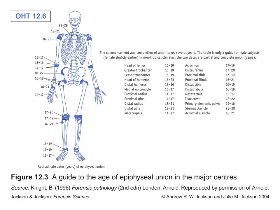 Table From Bone Age Determination Of Epiphyseal Union, 55% OFF